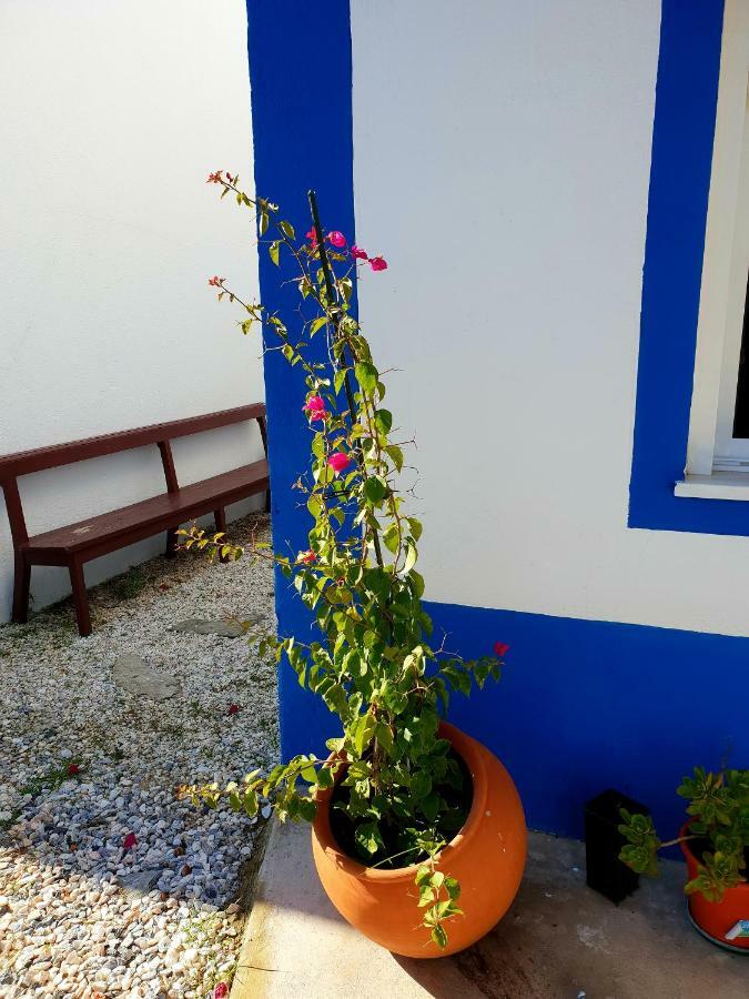 Casa Do Avo To Villa Reguengos de Monsaraz Bagian luar foto